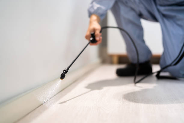 Bed Bug Pre-Treatment Preparation Assessment in Layton