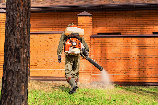 Bed Bug Clearance Verification and Documentation in Layton
